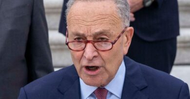 Schumer Mamdani Silence 2025