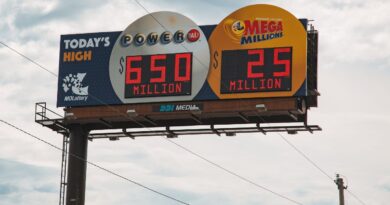 Mega Millions Winning Numbers November 4 2025