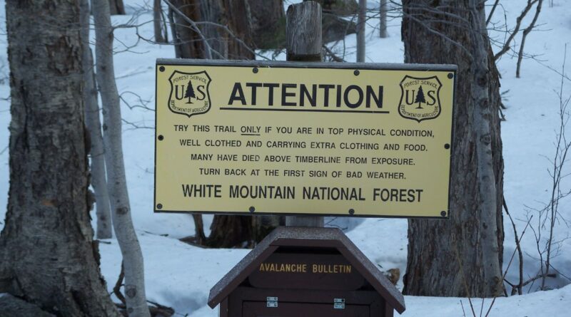 south carolina freeze 2025